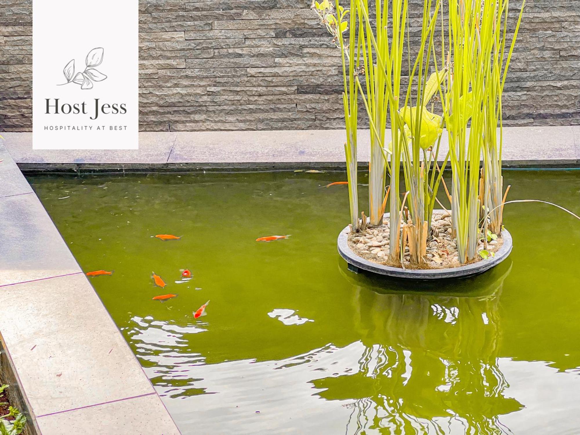 Gold Coast Pik Apartments By Host Jess Yakarta Exterior foto